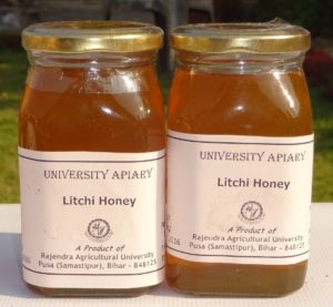 Litchi Honey – Dr. Rajendra Prasad Central Agricultural University